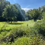 Lejlighed Gemuetliche Neitzert