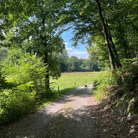 Gemütliche *